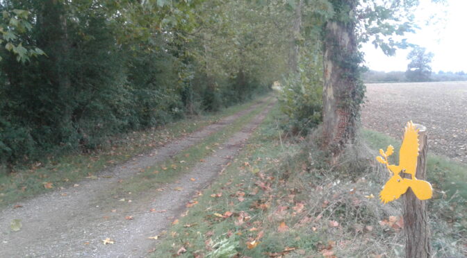 Nouveau balisage du sentier de l’Abbaye de Bellebranche.