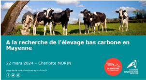 A la recherche de « l’élevage bovin bas carbone en Mayenne » par la Chambre d’Agriculture