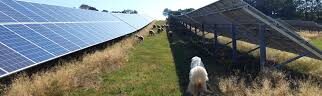 En Sud-Mayenne, il pleut … des projets de panneaux solaires!